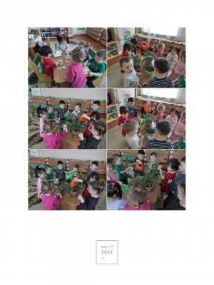 Ашық ұйымдастырылған іс-әрекет
