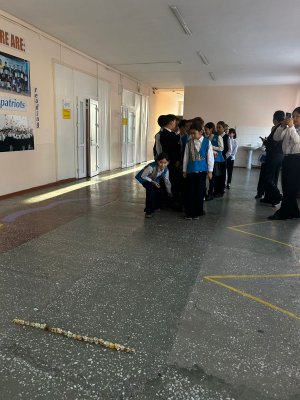 «Көңілді үзіліс»