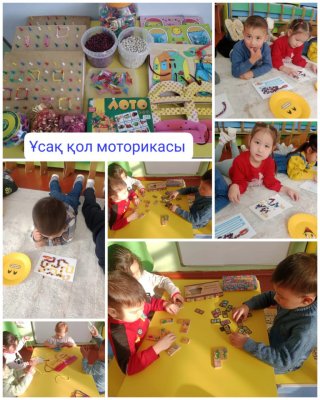 Ұсақ қол моторикасы