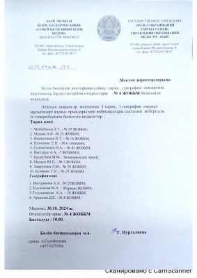 "Особенности обучения на дому с применением электронных ресурсов на уроках географии"